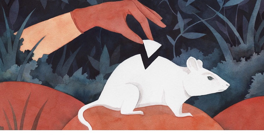 Synthetic biology news