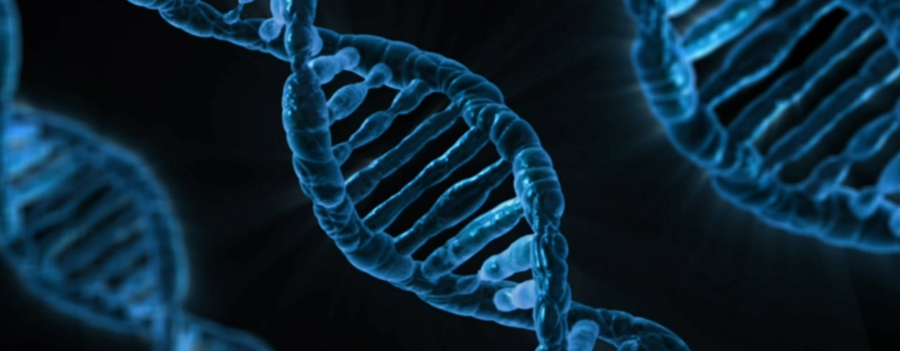 Should We Edit the Genome? When, Why, and How Much?