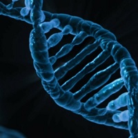 Editing the Genome: Now We Can. Should We?